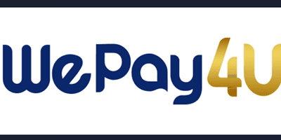 Visa partner logo